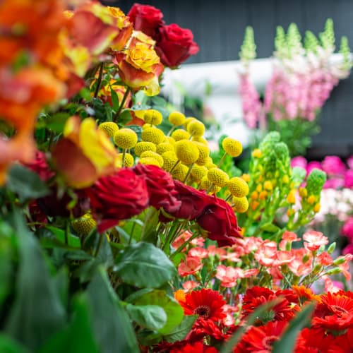 Gros plan de fleurs fraîches colorées en vitrine chez Et Fleurs Et Senteurs à Martigues