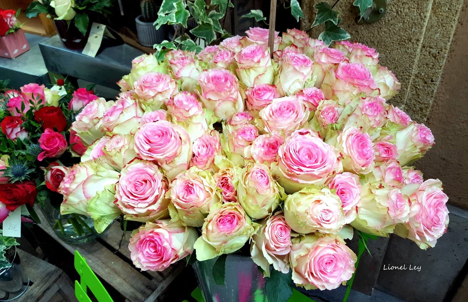 Bouquets de roses colorées et compositions florales de La Vie En Roses, à Aix-en-Provence