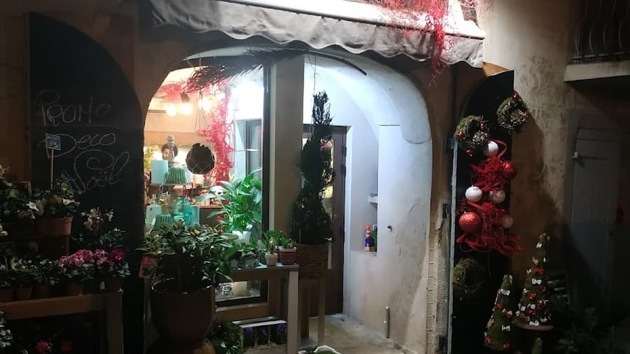 Devanture du Fleuriste est barbu illuminée le soir, rue du 4 Septembre à Lambesc, entourée de plantes et de fleurs
