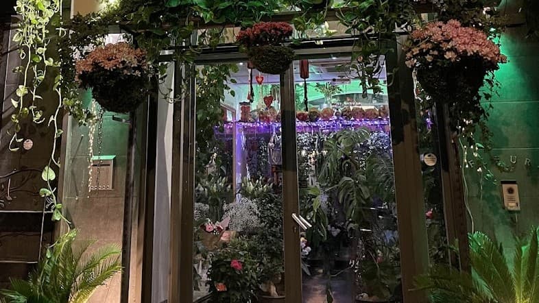 Devanture luxuriante de la boutique Les fleurs des 5 Avenues, couverte de plantes et de fleurs, à Marseille 4e