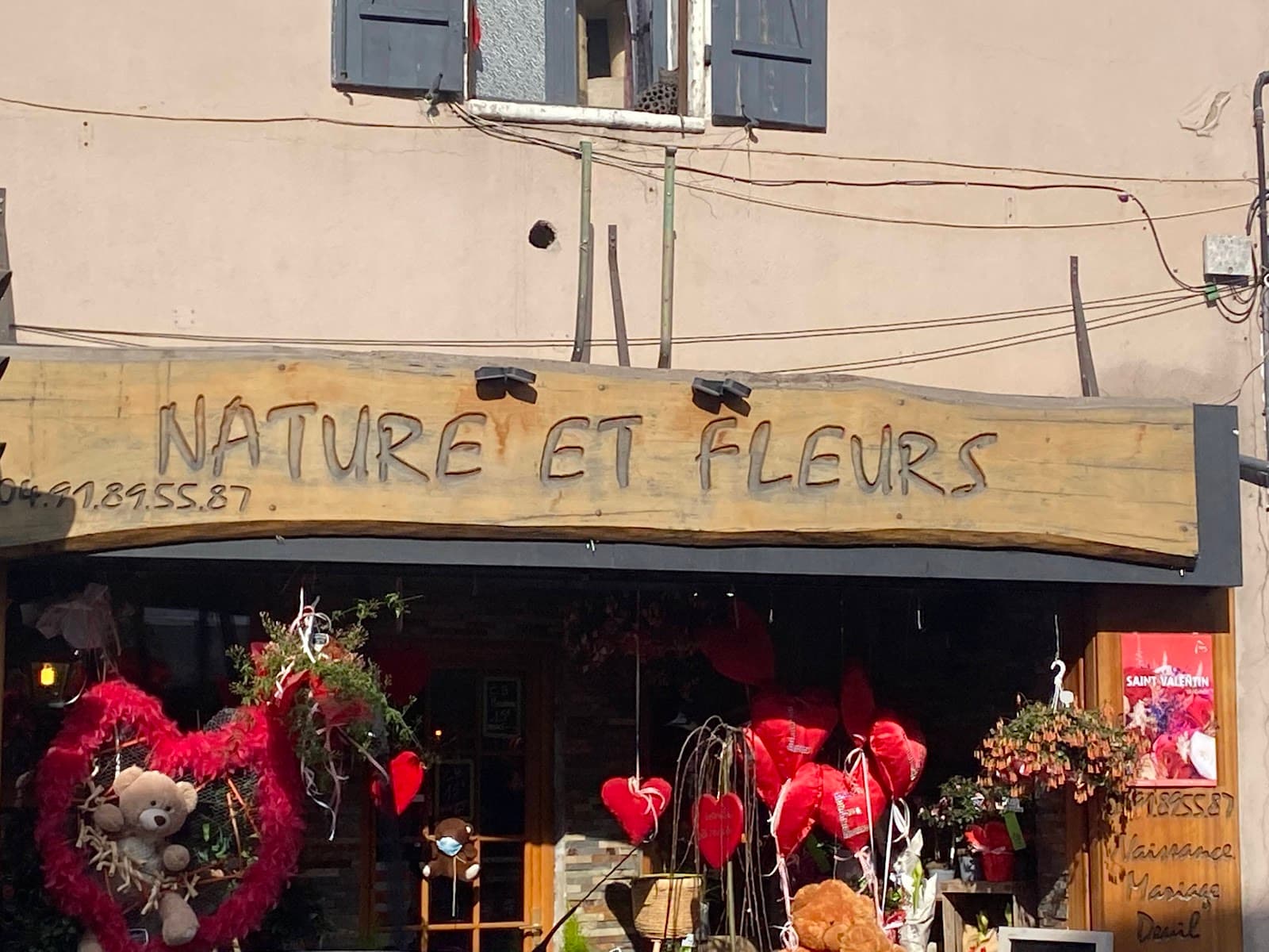 Devanture de la boutique Nature et Fleurs, enseigne en bois sculpté, boulevard de Saint-Loup à Marseille